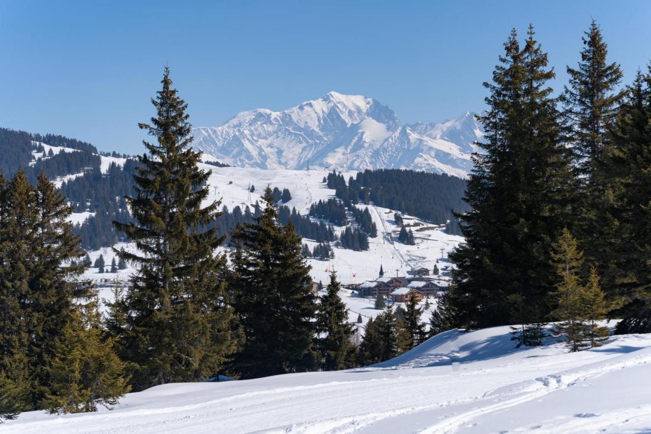 Les Saisies Appart 1 Chambre Au Pied Des Pistes Dış mekan fotoğraf