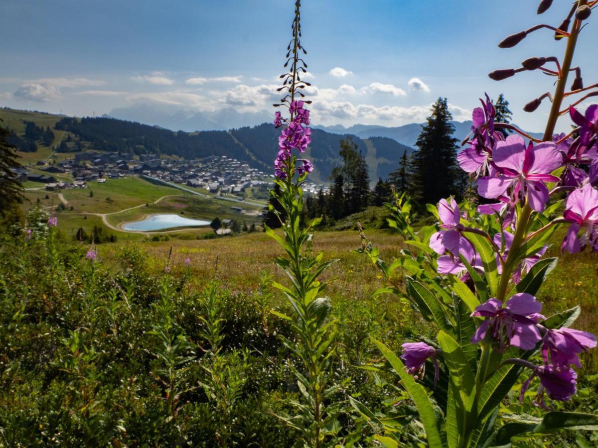 Les Saisies Appart 1 Chambre Au Pied Des Pistes Dış mekan fotoğraf